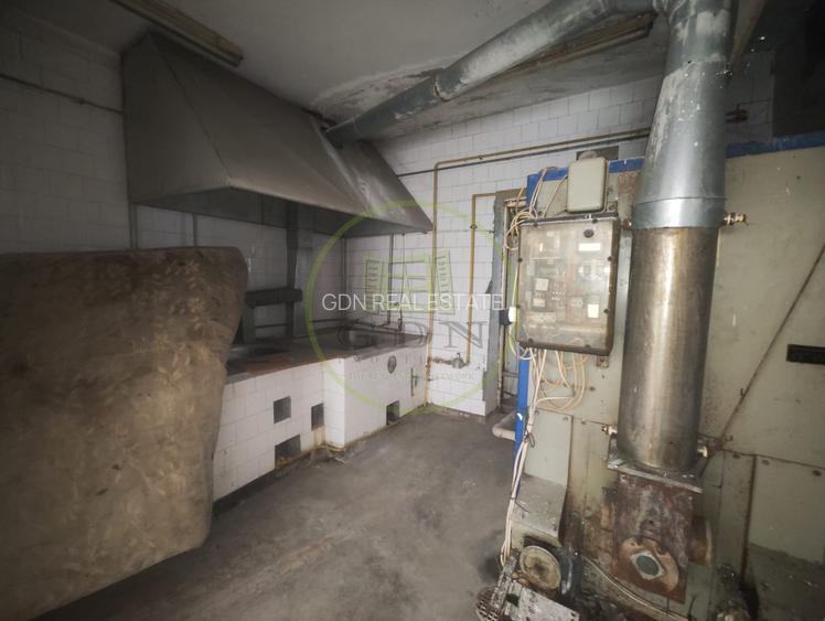 Spatiu comercial 9 camere, casa 2 camere,  teren 354 mp, Brestei. - 7