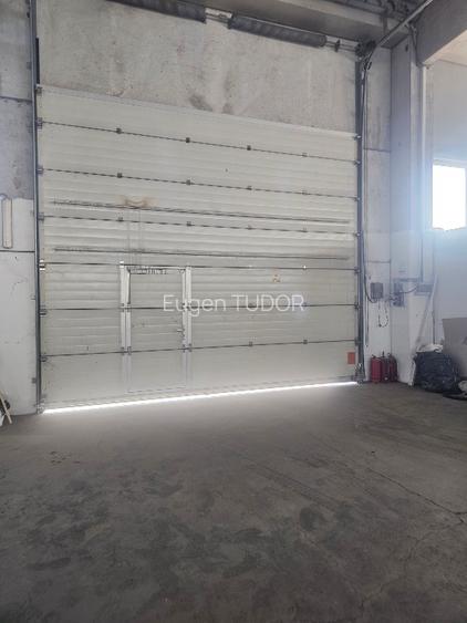 Hala de inchiriat. Depozitare sau productie. - 9