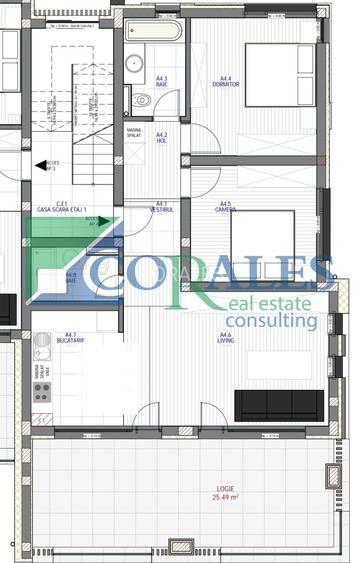 Proiect Imobiliar Nou – Suprafete generoase. Gradina - 5