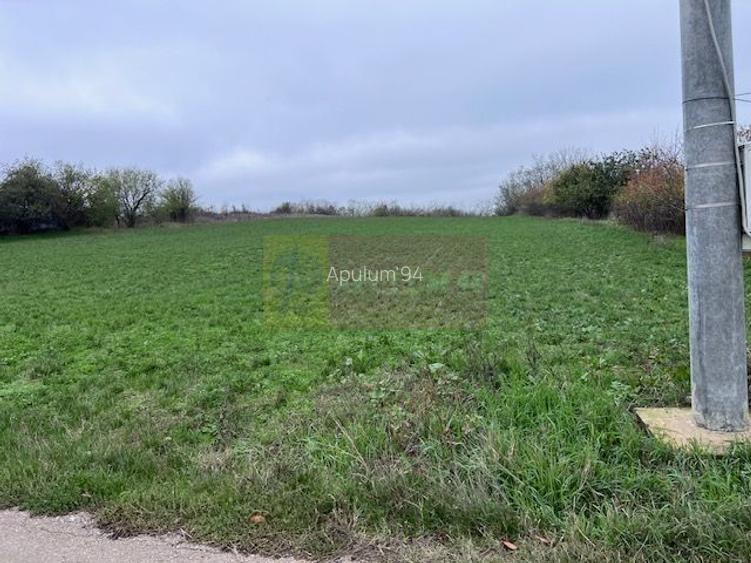 Teren Comana- strada Funieru. - 2