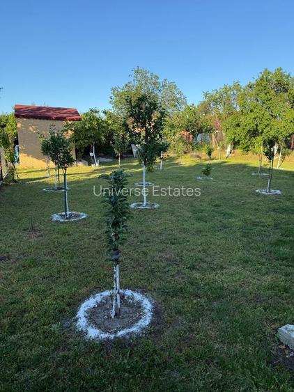 | Casa tip Vila 105 mpu Prunaru-Bujoreni Tr- curte proprie 500 mp | - 25