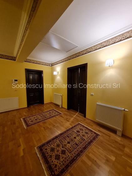 Poziție de top în Dumbravita - 21