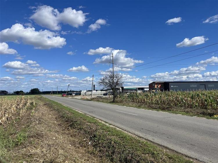 RECO Teren intravilan 1200mp -Livada de Bihor - 3