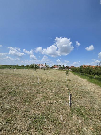 Casă  cu teren de 40 ari în localitatea Gelu - 4