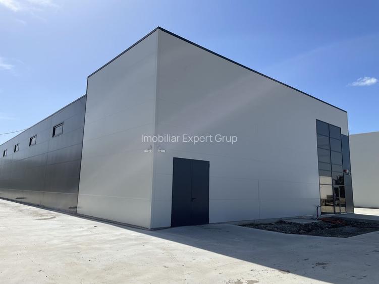 Spatiu de depozitare si productie Mogosoaia - 4