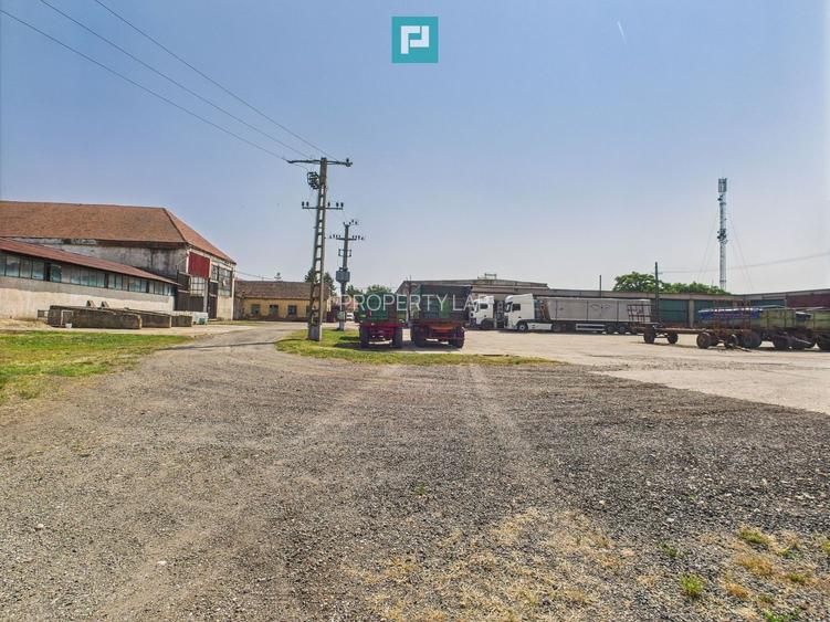 Complex industrial cu hale și teren  în Orțișoara - 24