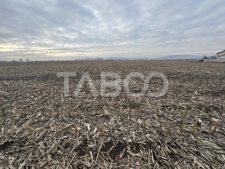 Teren intravilan 5800 mp cu potential de investitie - 2