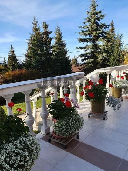 Cabana din Beliș — în sfârșit ai găsit-o. Și o să-ți dai seama imediat de ce. - 15