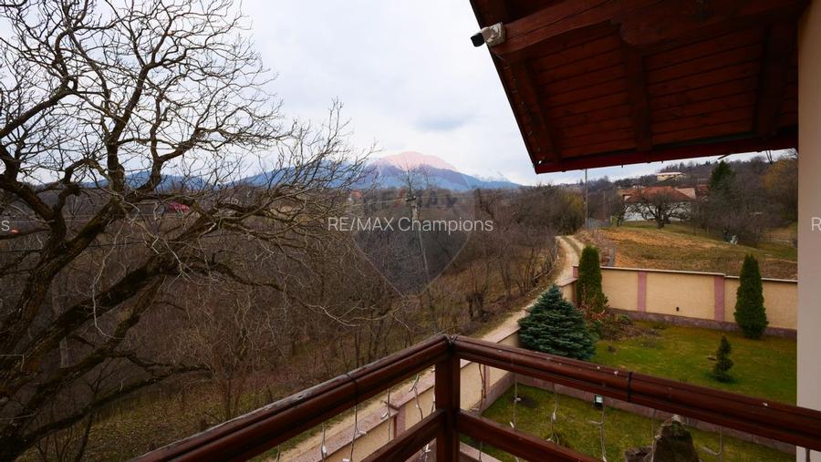 Casă de vânzare Bran Sohodol teren  intravilan 10.331 mp două locuințe - 24