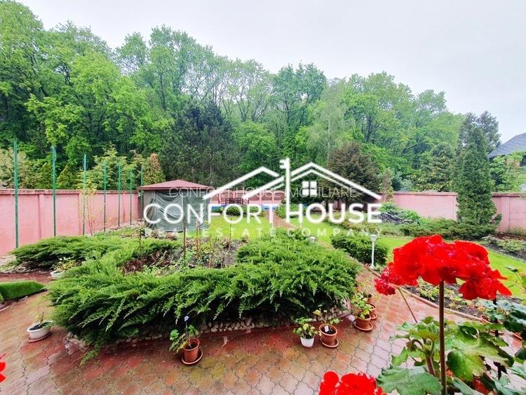 VILA D+P+E+M, 12 camere, piscina , padure, IANCU NICOLAE - 3