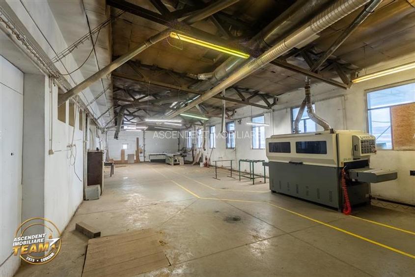 Complex industrial modern,acces dublu, potential apreciabil,Valea Crișului, - 6