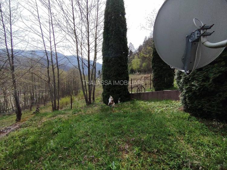 Proprietate de vacanta Valea Oltului - BREZOI - 4