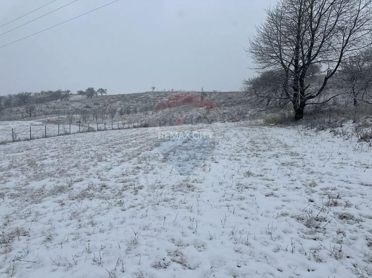 Teren 8,300mp Negresti (Dobreni) / Drumul DEALUL OTEL - 4