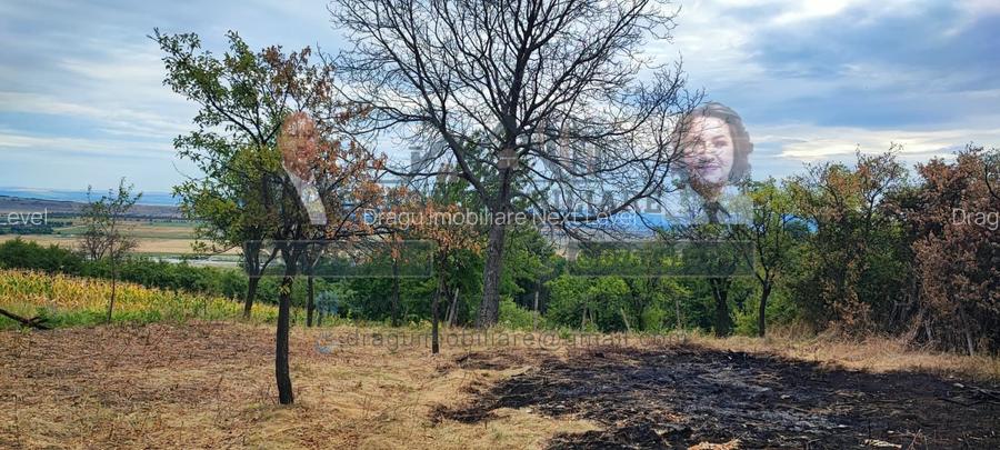 Teren generos 2186 mp cu casă bătrânească – Copăcești, județul Vrancea - 3