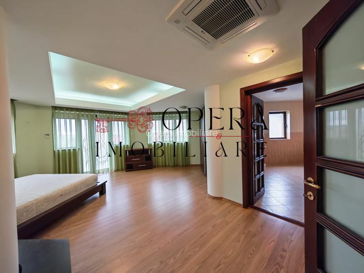 Vila individuala deosebita, de vanzare, zona Popas Pacurari - 11