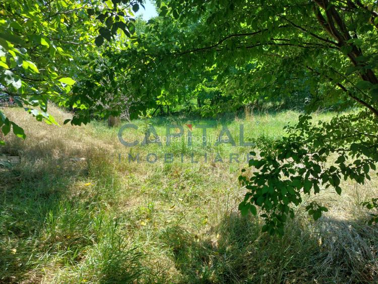 Teren intravilan construibil - 4