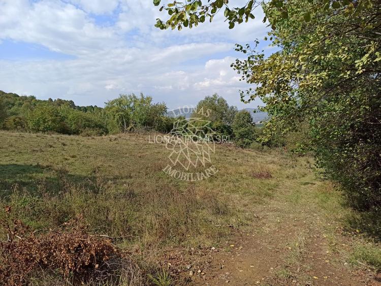 Teren  42,200 mp (4,22 hectare)-Parcelabil-investitie-Valea Jelnei - 5