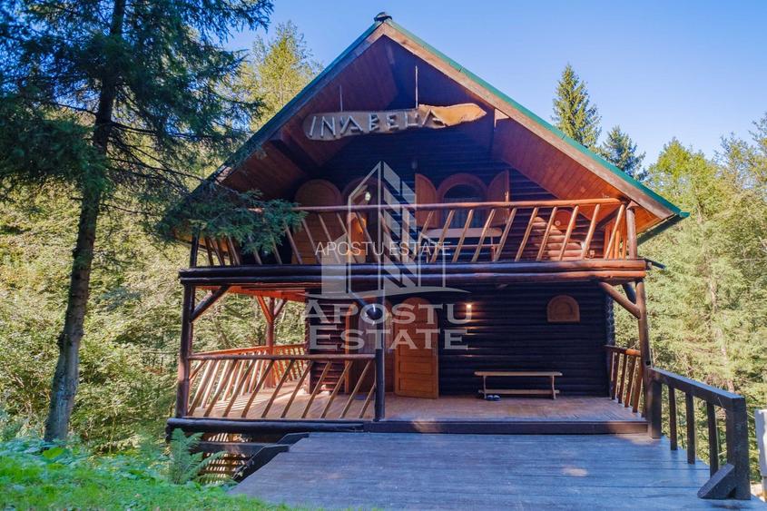 Pensiune, casa de vacanta, 6 camere, statiunea Rausor din Hunedoara - 24