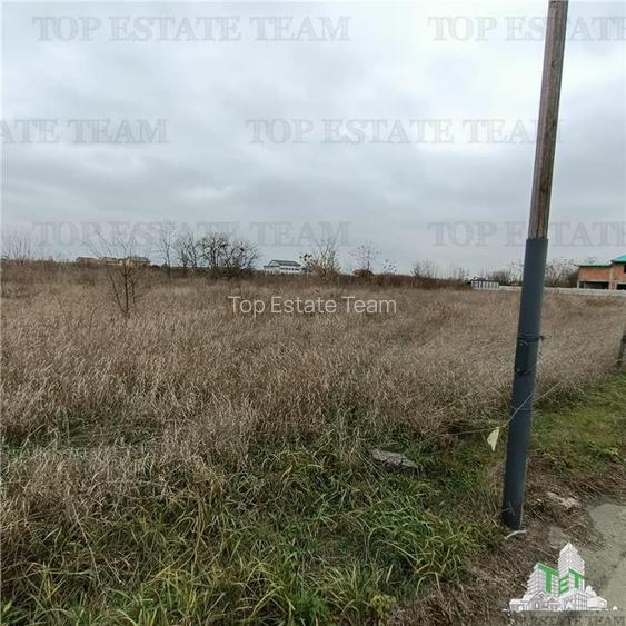 Teren intravilan de vanzare/ Domnesti - 2