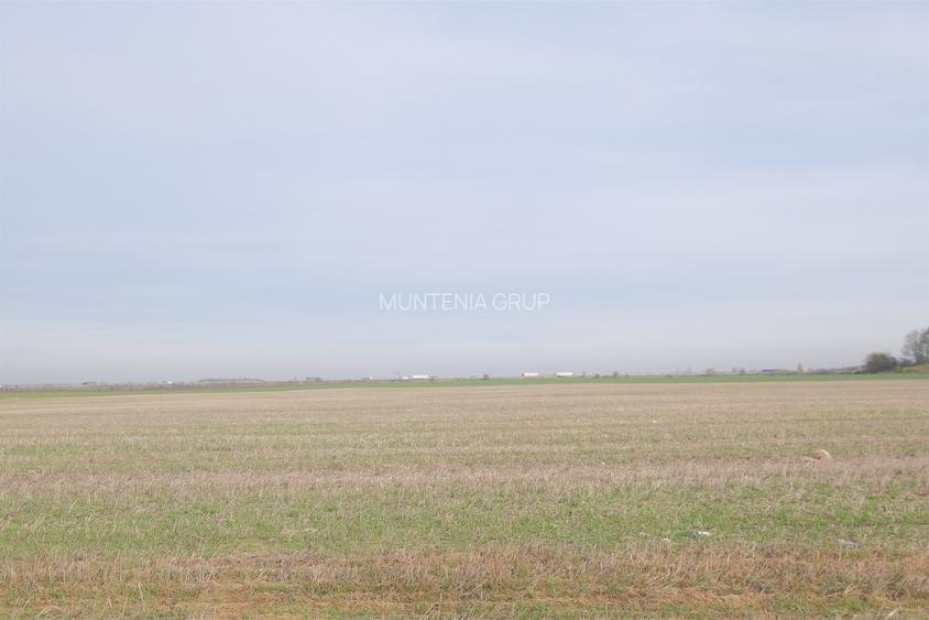 Unicat ! A3 - Gherghita, 27 Ha. teren intravilan cu PUZ aprobat - 5