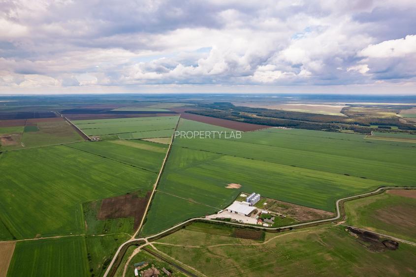 Teren 13500000 mp în Socodor - 6