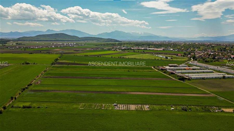 FILM! Teren extravilan 5.000 mp in zona linistita cu acces facil, Bod, Brasov - 2