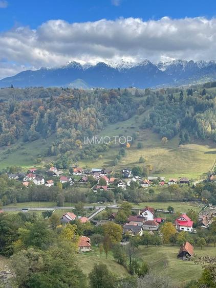 Teren extravilan cu priveliste catre Bucegi – Moieciu de Jos 4.700 mp - 6