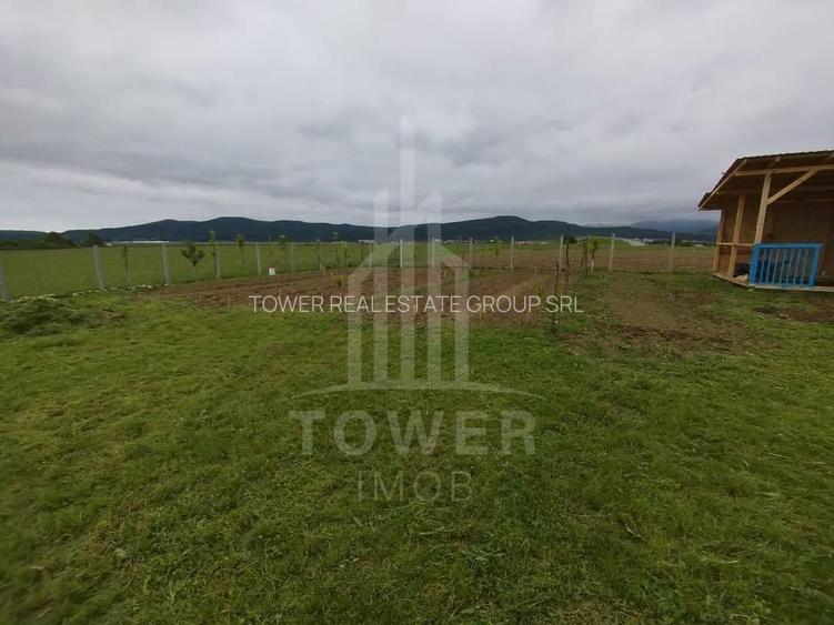 Grădină 862 mp cu cabanuta și pomi fructiferi – între Tălmaciu și Sadu - 5