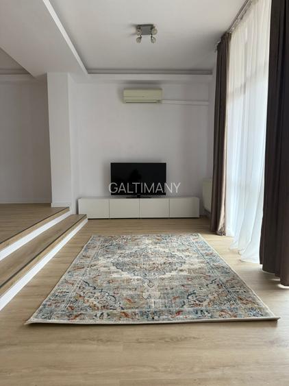 Vilă de închiriat – Herăstrău / Expoziției (Str. Parcului) - 14