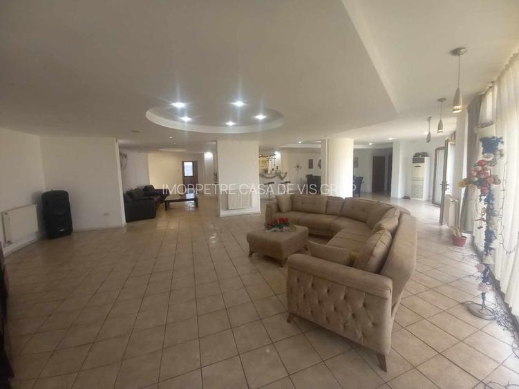 Casa de vanzare la 5 min de Centru cu trei nivele (D+P+1) si teren de 4300mp - 10