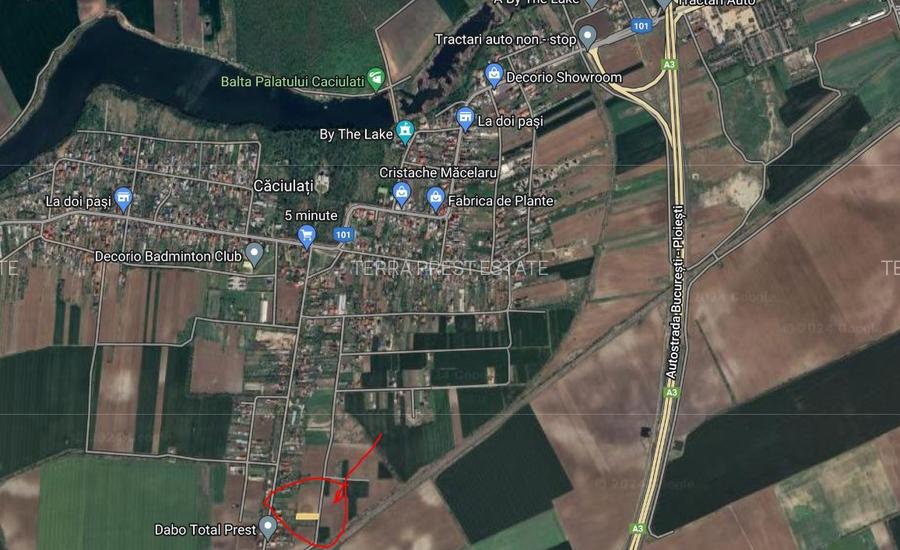 1500 mp Intravilan, Caciulati, acces rapid autostrada A3 - 2