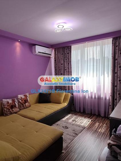 9080 Apartament 2 camere Drumul Taberei- Raul Doamnei - 3