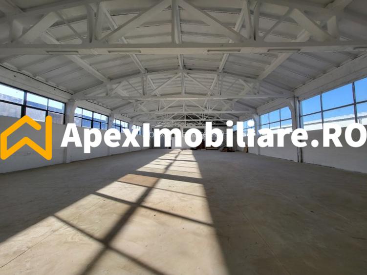 Hala Industriala Xenia – 1800 mp, Acces TIR, Parcare 50 Auto - 7