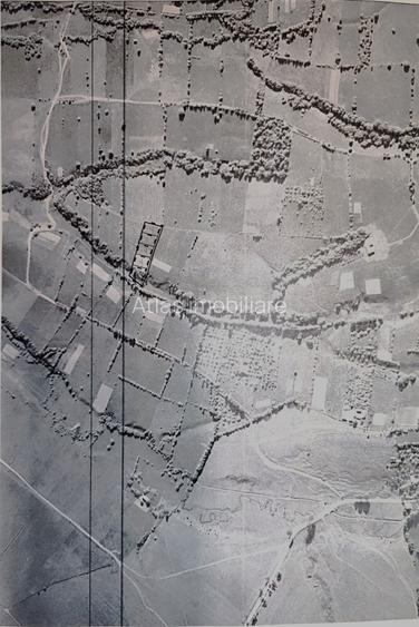 5800 mp fineata, pretabil camping, constructii A-frame, Sohodol, Bran - 13