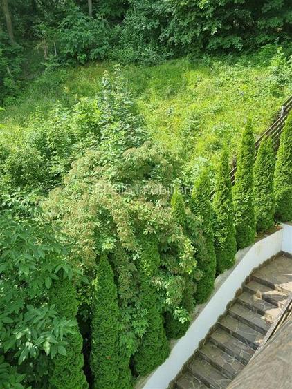 Apartament de trei camere in zona mirifica , Dobrogeanu Gherea - 12