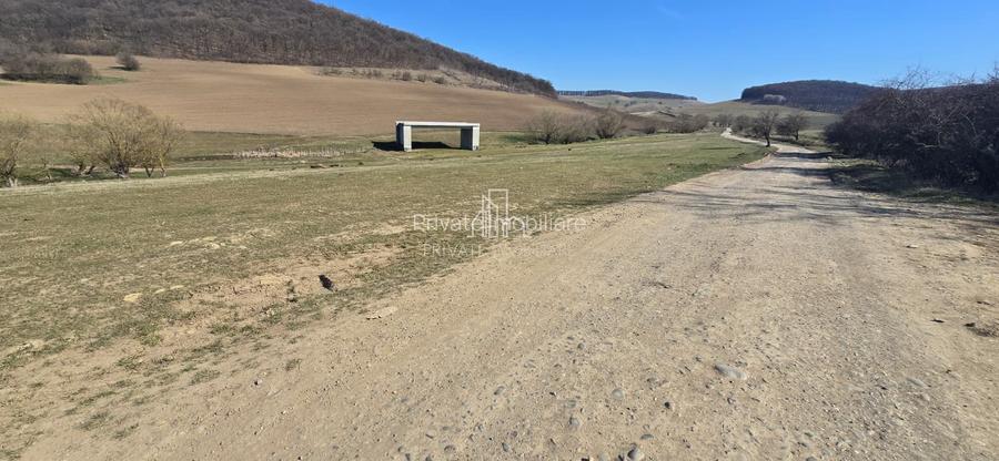 Teren 4 362 Mp Intravilan de Vanzare, Str Caprioarei, Sangeorgiu de Ms - 9