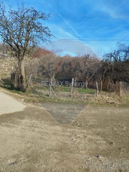 Teren intravilan 1.736 mp Chițești- Bogați (AG), deschidere la asfalt - 3