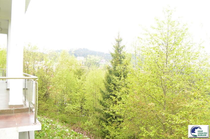 Teren investitional in Predeal-Cioplea - 2