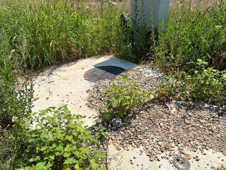 Ciolpani -Ilfov - teren 4000 mp - 9