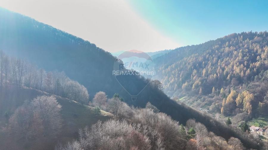 Teren Colinar Panoramic – 17.684 mp în Scheii Brașovului - 8