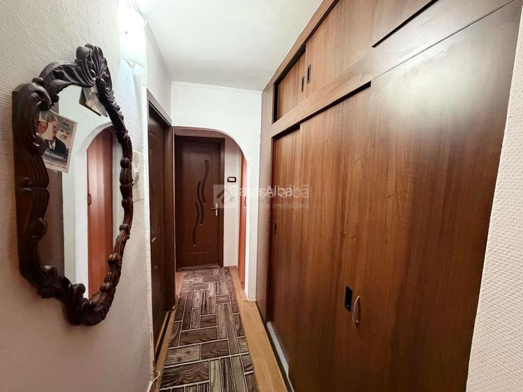 Pacurari - Petru Poni, 3 camere decomandat, amenajat, liber - 12