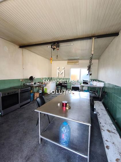 Complex industrial  cu teren 18,672 mp Târgu Lăpuș - 25