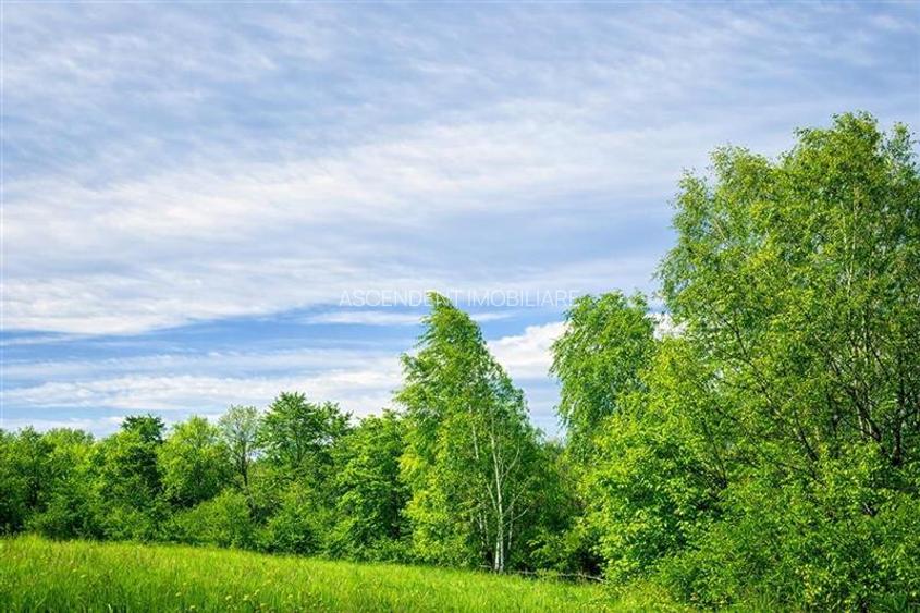 11.600mp teren, partial extravilan,Valea Mare Pravat, 2 km de Campulung Muscel - 4