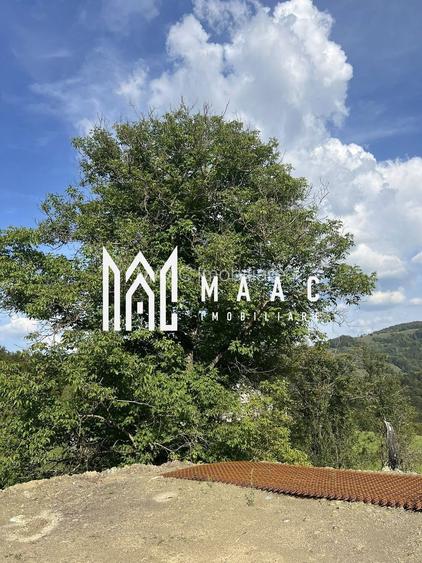 Super oferta I Vânzare Teren – Poiana Sohodol, Județ Alba - 6