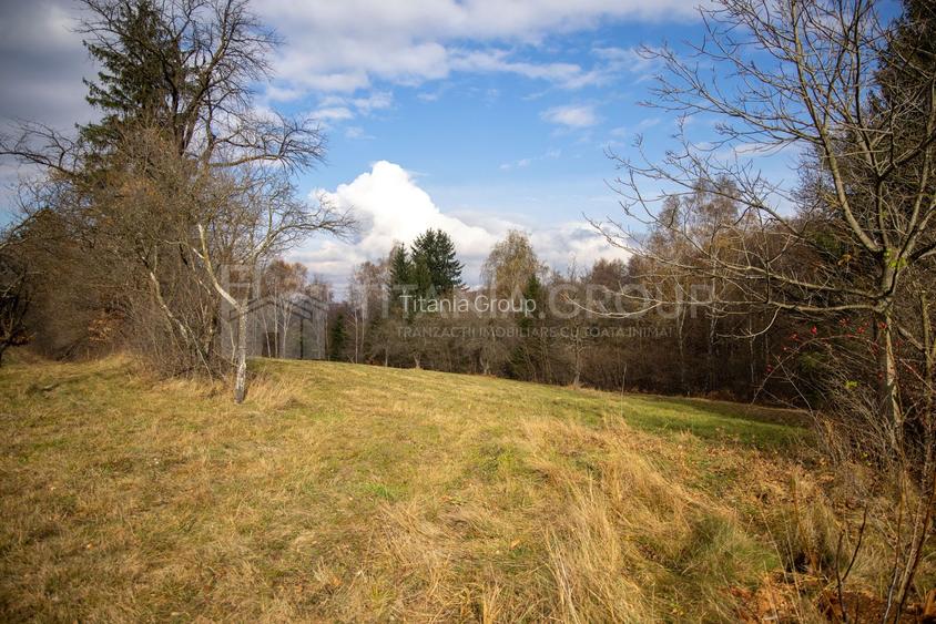 Teren intravilan, cu PUZ, Bran Tohanita,  SE ACCEPTĂ ȘI SCHIMB - 17