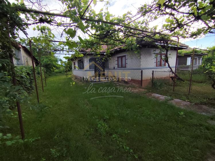 Casa si 2166 mp teren Magureni - 8