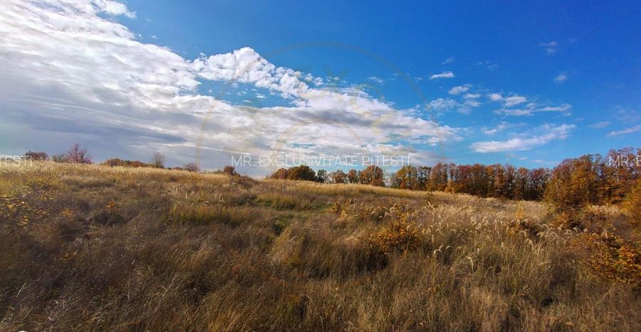Teren 10200 mp Mosoaia - 6