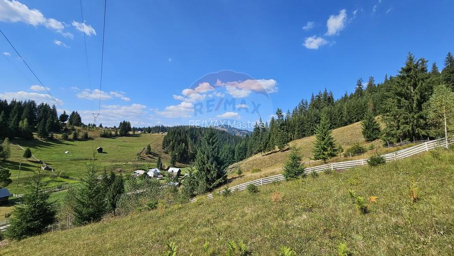 Casă / Vilă de vacanta in Dorna Arini, Suceava - 59