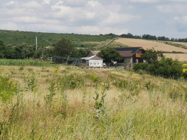 BUCIUM , 6 KM DIN IASI , teren perfect plan , 99.999 % acces pe asfalt - 10