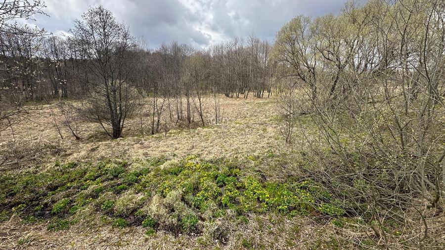 De vanzare teren in Brebu Nou  2877 mp - 5